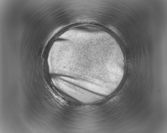 X0000059221022200511111516