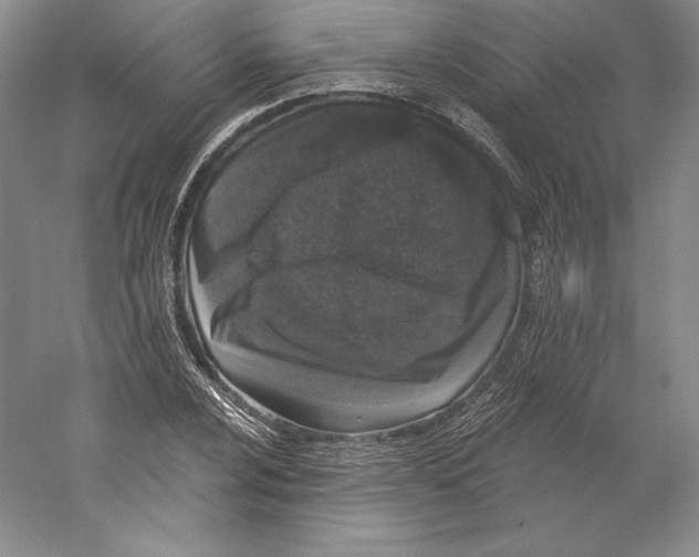 X0000059221024200511111516