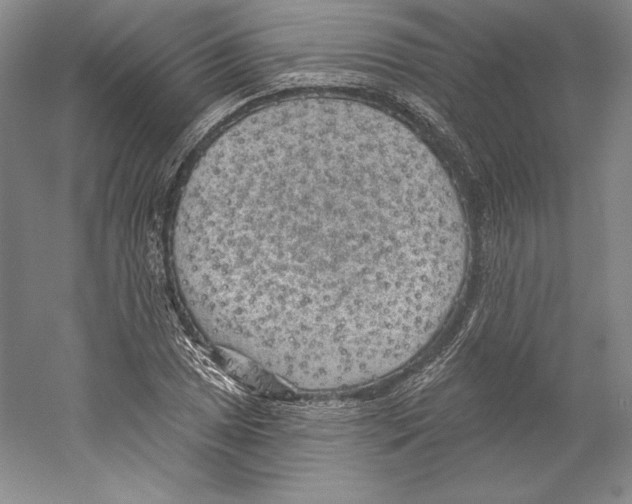 X0000059221025200511111516