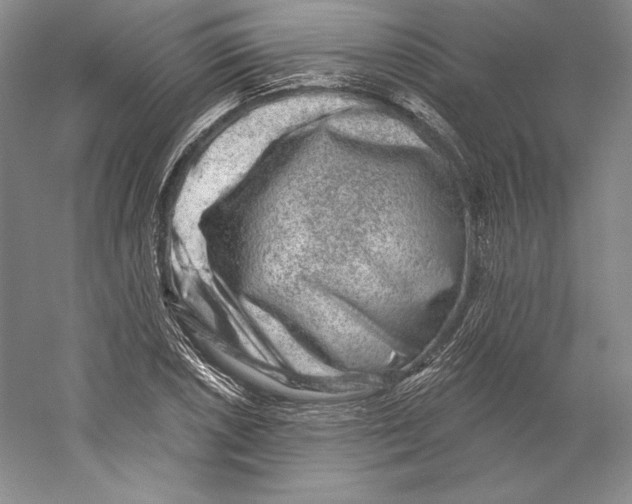 X0000059221026200511111516