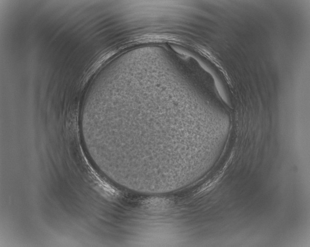 X0000059221033200511111516