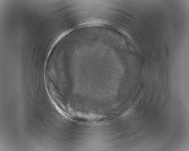 X0000059221034200511111516