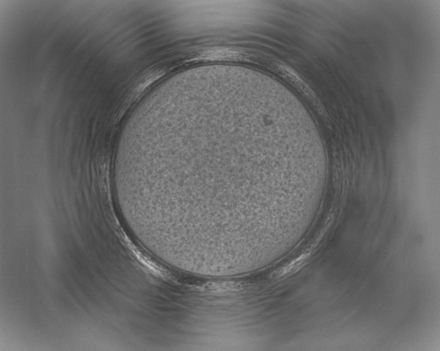 X0000059221041200511111516