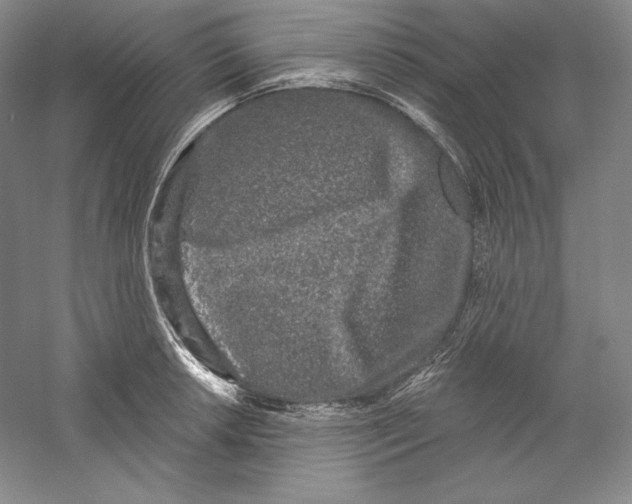 X0000059221042200511111516