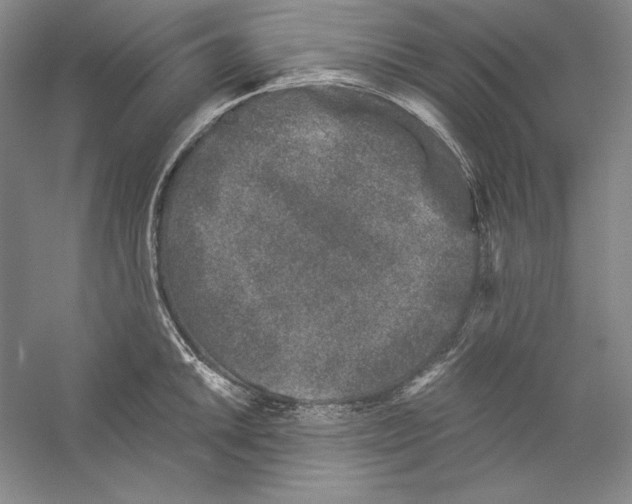 X0000059221046200511111516
