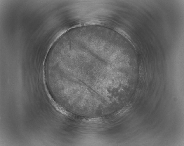 X0000059221047200511111516