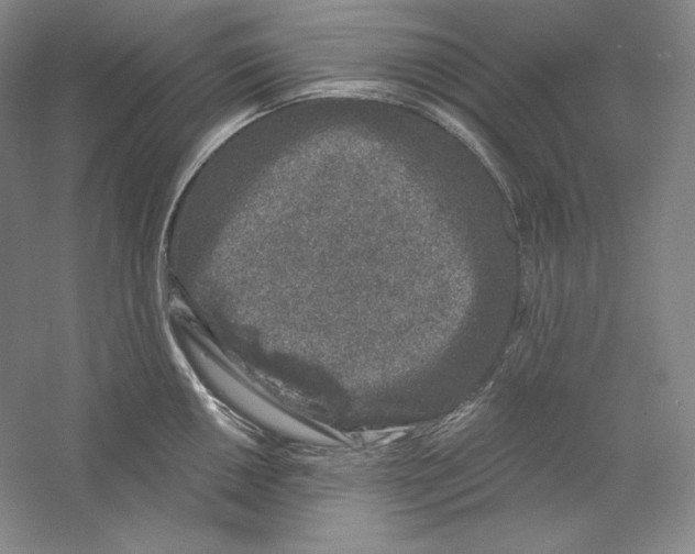 X0000059221050200511111516