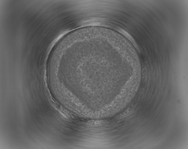 X0000059221051200511111517