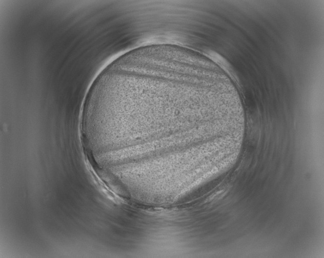 X0000059221052200511111517