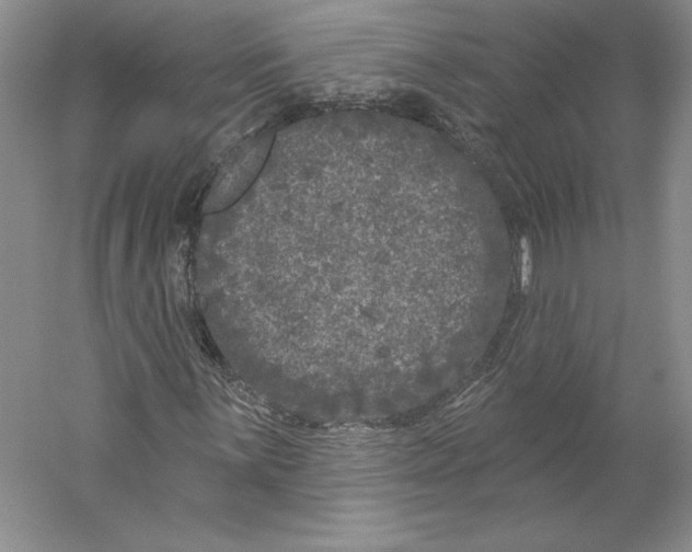 X0000059221059200511111516
