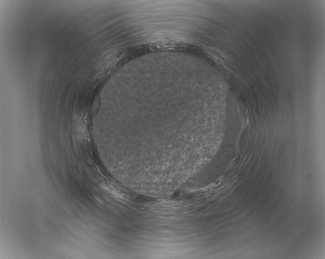 X0000059221060200511111516