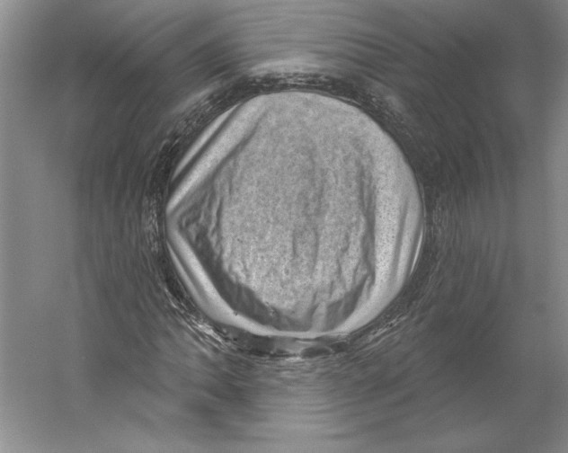 X0000059221062200511111516