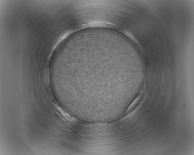 X0000059221067200511111516
