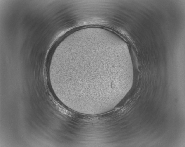 X0000059221072200511111516
