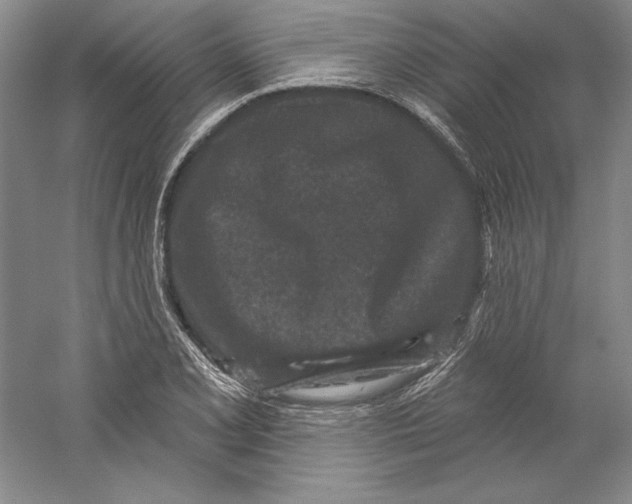 X0000059221077200511111515