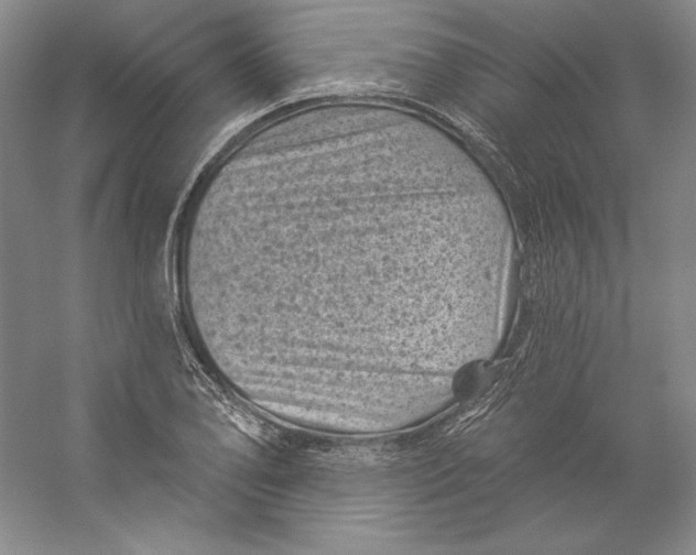 X0000059221078200511111515