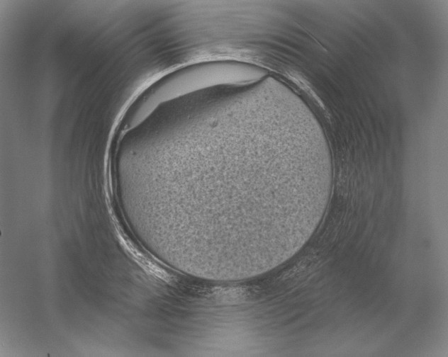 X0000059221080200511111515