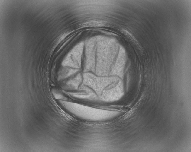 X0000059221081200511111515