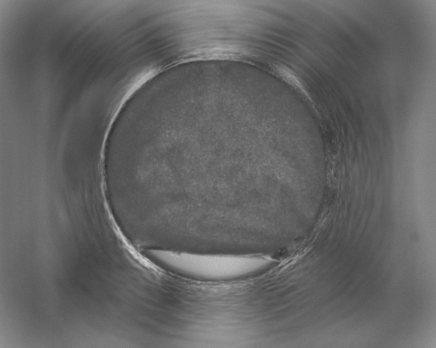 X0000059221087200511111515