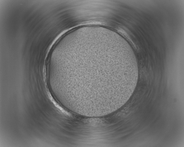 X0000059221092200511111515