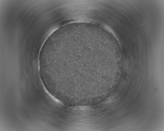 X0000059221095200511111515