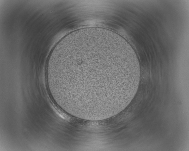 X0000059221098200511111515