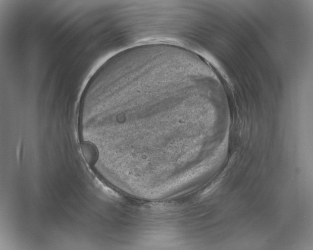 X0000059221102200511111515