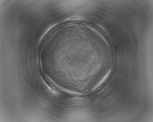 X0000059221115200511111514