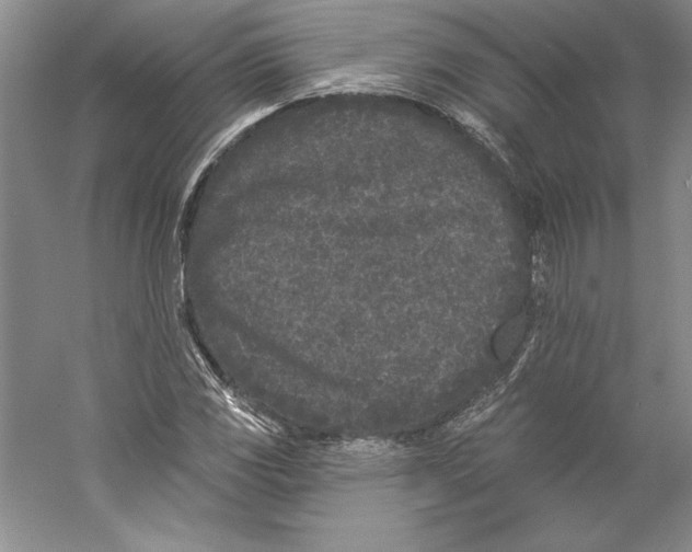 X0000059221117200511111514
