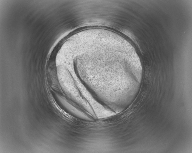 X0000059221120200511111514