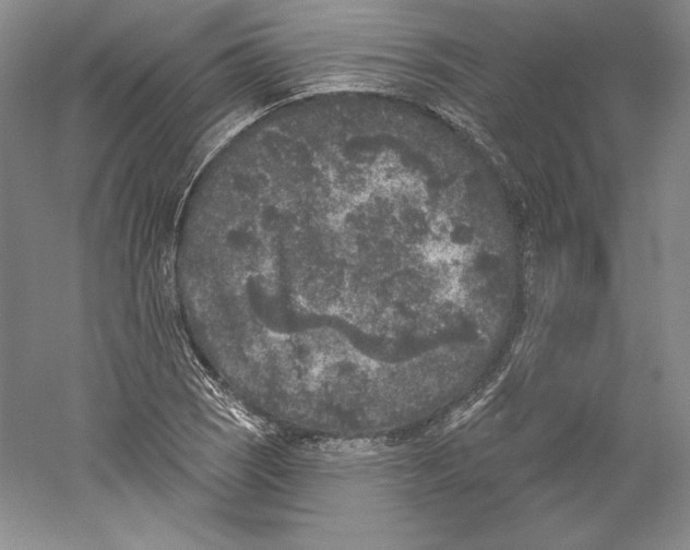 X0000059221121200511111514