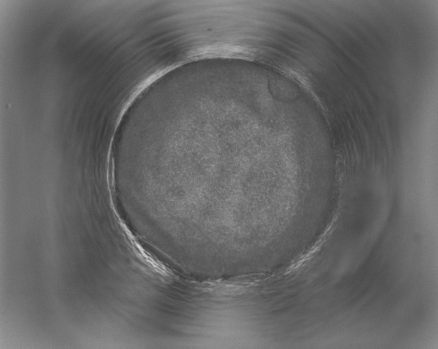 X0000059221125200511111515