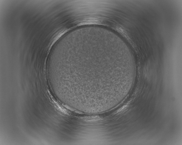 X0000059221129200511111515