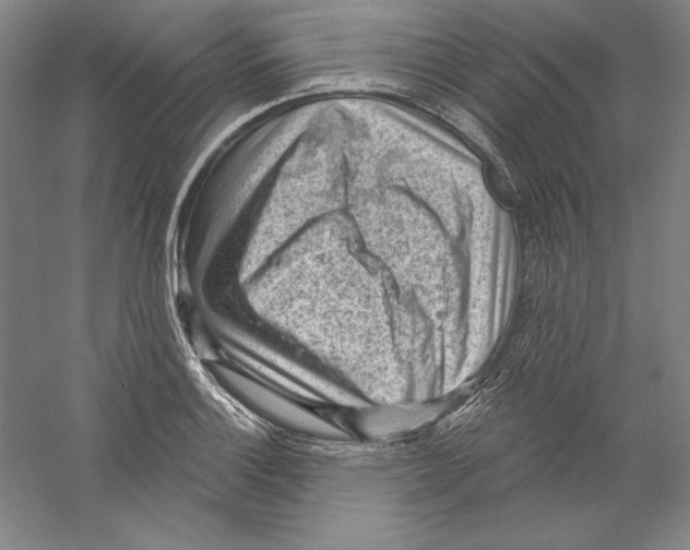 X0000059221132200511111515