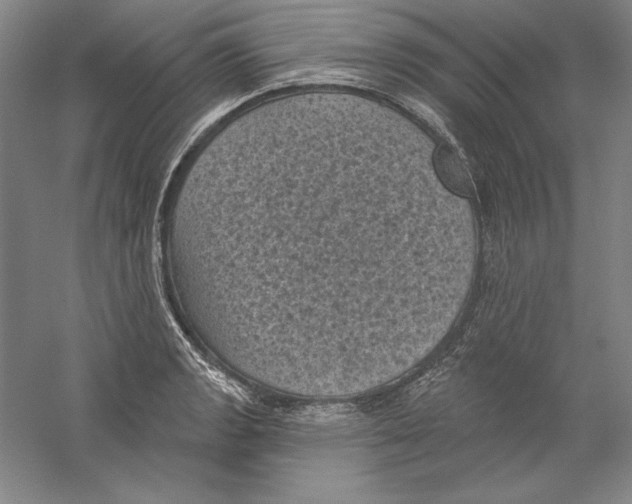 X0000059221133200511111515