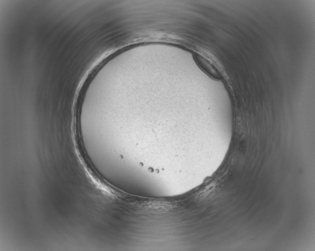 X0000059221136200511111515