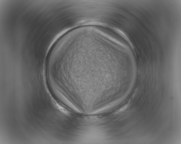 X0000059221149200511111515