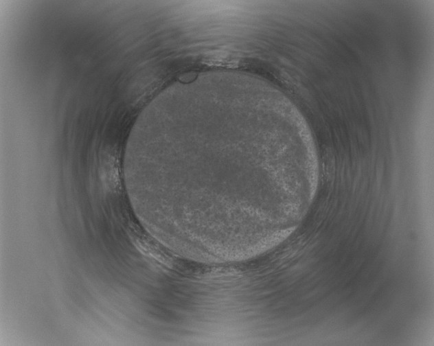 X0000059221154200511111514