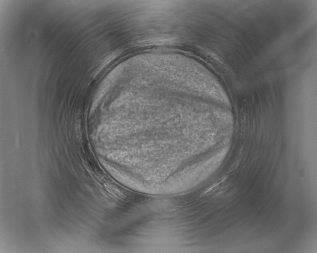 X0000059221162200511111514