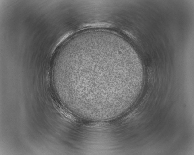 X0000059221163200511111514