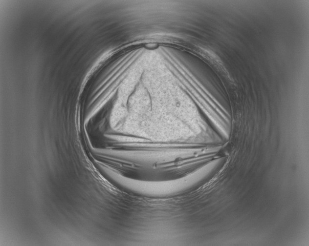 X0000059221180200511111514