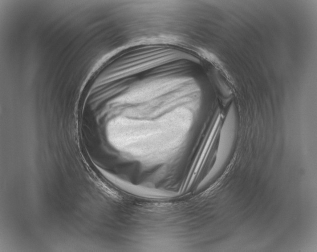 X0000059221184200511111514
