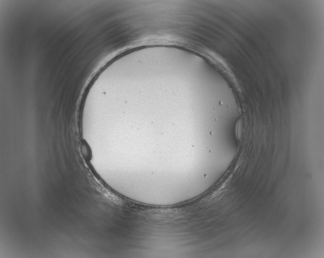 X0000059221192200511111513