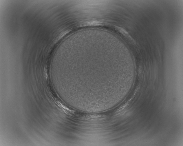 X0000059221209200511111513