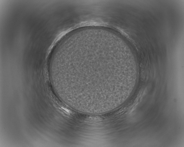 X0000059221215200511111513
