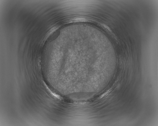 X0000059221225200511111513