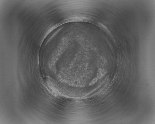 X0000059221226200511111513