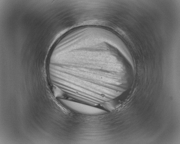 X0000059221230200511111513