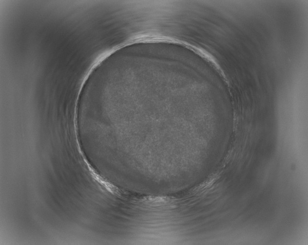 X0000059221231200511111513