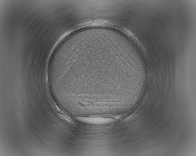 X0000059221232200511111513